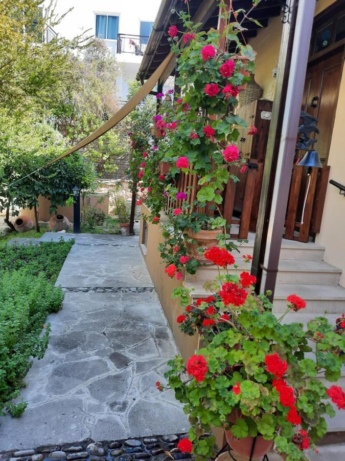 Villa Vasilion Agrotourism à Polis Extérieur photo