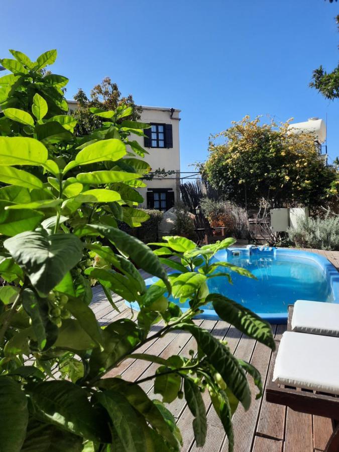 Villa Vasilion Agrotourism à Polis Extérieur photo