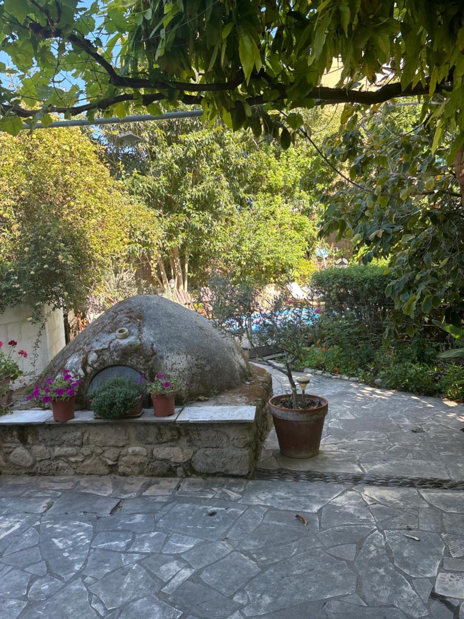 Villa Vasilion Agrotourism à Polis Extérieur photo