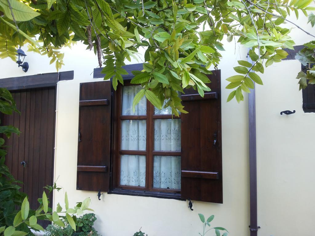 Villa Vasilion Agrotourism à Polis Chambre photo