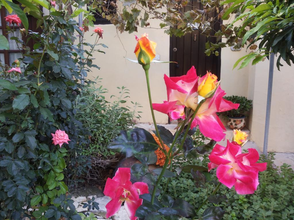 Villa Vasilion Agrotourism à Polis Extérieur photo
